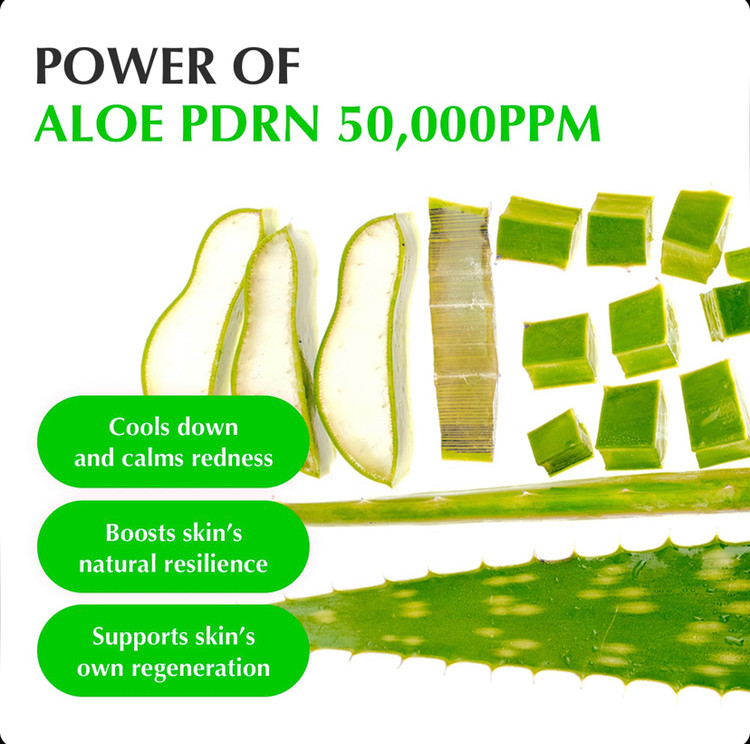سرم جوانساز و ترمیم کننده و تسکین دهنده قوی پوست اکوال بری EQQUALBERRY Aloe PDRN Calming Serum حجم 30 میل